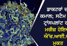 ਸਟੈਮ ਸੈਲ ਟਰਾਂਸਪਲਾਂਟ: 7 ਏਡਜ਼ ਮਰੀਜ਼ਾਂ ਨੂੰ ਮਿਲੀ ਨਵੀਂ ਜ਼ਿੰਦਗੀ