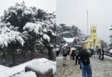 ਸ਼ਿਮਲਾ ਵਿੱਚ ਲਗਾਤਾਰ ਚੌਥੇ ਸਾਲ ਵੀ ਬਿਨਾਂ ਬਰਫ਼ ਕ੍ਰਿਸਮਸ, ਸਰਦੀਆਂ ਦੀ ਰੌਣਕ ਫਿੱਕੀ ਸ਼ਿਮਲਾ ਵਿੱਚ ਲਗਾਤਾਰ ਚੌਥੇ ਸਾਲ ਵੀ ਬਿਨਾਂ ਬਰਫ਼ ਕ੍ਰਿਸਮਸ, ਸਰਦੀਆਂ ਦੀ ਰੌਣਕ ਫਿੱਕੀ