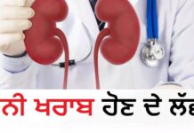 ਸਾਵਧਾਨ! ਅੱਖਾਂ ਵਿੱਚ ਨਜ਼ਰ ਆਉਂਦੇ ਇਹ ਸੰਕੇਤ ਹੋ ਸਕਦੇ ਹਨ ਕਿਡਨੀ ਖ਼ਰਾਬ ਹੋਣ ਦੀ ਚੇਤਾਵਨੀ, ਅਣਡਿੱਠਾ ਨਾ ਕਰੋ