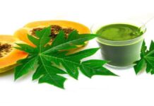 ਰੋਜ਼ ਇੱਕ ਪਲੇਟ ਪਪੀਤਾ ਖਾਣ ਨਾਲ ਸਿਹਤ ਰਹੇ ਦੁਰੁਸਤ, ਬਿਮਾਰੀਆਂ ਤੋਂ ਮਿਲੇਗੀ ਛੁਟਕਾਰਾ: ਜਾਣੋ ਇਸ ਦੇ 7 ਵੱਡੇ ਫਾਇਦੇ