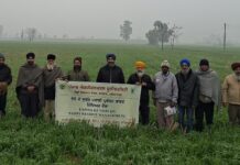 ਹੈਪੀ ਸੀਡਰ ਤਕਨੀਕ ਨਾਲ ਕਣਕ ਦੀ ਸਿੱਧੀ ਬਿਜਾਈ