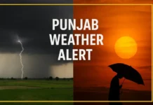 ਪੰਜਾਬ ‘ਚ ਅਗਲੇ 4 ਦਿਨ ਸੰਘਣੀ ਧੁੰਦ ਤੇ ਕੋਲਡ ਵੇਵ ਦਾ ਅਲਰਟ