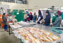 ਪੀਏਯੂ-ਕੇਵੀਕੇ ਸੰਗਰੂਰ ਵੱਲੋਂ ਐਗਰੋ-ਪ੍ਰੋਸੈਸਿੰਗ ਤੇ ਗੁੜ ਉਤਪਾਦਨ ਸਿਖਲਾਈ ਕੋਰਸ