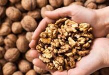 ਸਾਵਧਾਨ! ਅਖਰੋਟ ਹਰ ਕਿਸੇ ਲਈ ਨਹੀਂ ਹੁੰਦਾ ਫਾਇਦੇਮੰਦ—ਇਨ੍ਹਾਂ 7 ਕਿਸਮ ਦੇ ਲੋਕਾਂ ਲਈ ਬਣ ਸਕਦਾ ਹੈ ਨੁਕਸਾਨਦਾਇਕ