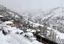 ਹਿਮਾਚਲ ਵਿੱਚ ਬਰਫ਼ਬਾਰੀ ਨਾਲ ਸੁਹਾਵਣਾ ਨਜ਼ਾਰਾ, ਮਨਾਲੀ–ਕੁਫ਼ਰੀ ਸਮੇਤ ਉੱਚੇ ਇਲਾਕੇ ਬਰਫ਼ ਨਾਲ ਢੱਕੇ