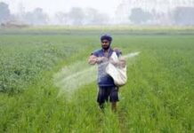 ਕਿਸਾਨਾਂ ਲਈ ਵੱਡੀ ਖ਼ਬਰ: ਯੂਰੀਆ ਖ਼ਰੀਦਣ ਲਈ ‘ਫਾਰਮਰ ਆਈਡੀ’ ਹੋਵੇਗੀ ਲਾਜ਼ਮੀ, ਜਾਣੋ ਬਣਾਉਣ ਦੀ ਪੂਰੀ ਪ੍ਰਕਿਰਿਆ