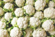 ਫੁੱਲਗੋਭੀ ਖਾਣ ਵਾਲਿਆਂ ਲਈ ਜ਼ਰੂਰੀ ਚੇਤਾਵਨੀ: ਸਿਰਫ਼ ਪਾਣੀ ਨਾਲ ਧੋਣਾ ਕਾਫ਼ੀ ਨਹੀਂ