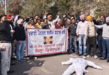 ਪੁਰਾਣੀ ਪੈਨਸ਼ਨ ਸਕੀਮ ਦੀ ਮੰਗ ਨੂੰ ਲੈ ਕੇ ਮੁਲਾਜ਼ਮਾਂ ਵੱਲੋਂ ਅਰਥੀ ਫੂਕ ਮੁਜ਼ਾਹਰਾ