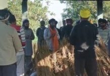 ਕੈਨੇਡਾ ਵਿੱਚ ਗੋ*ਲੀਬਾਰੀ ਦਾ ਸ਼ਿਕਾਰ ਨੌਜਵਾਨ ਦੀ ਮ੍ਰਿ*ਤਕ ਦੇਹ ਪਿੰਡ ਪਹੁੰਚੀ