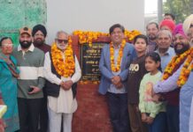 ਵਿਧਾਇਕ ਬ੍ਰਮ ਸ਼ੰਕਰ ਜਿੰਪਾ ਨੇ ਵਾਰਡ 8 ਵਿੱਚ ਗਲੀਆਂ ਦੇ ਨਿਰਮਾਣ ਦੀ ਕਰਵਾਈ ਸ਼ੁਰੂਆਤ – 21 ਲੱਖ ਨਾਲ ਬਣਨਗੀਆਂ ਨਵੀਆਂ ਗਲੀਆਂ