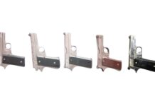 ਫਿਲੀਪੀਨਜ਼ ਅਤੇ ਯੂ.ਏ.ਈ. ਨਾਲ ਜੁੜੇ ਹਥਿਆਰ ਸਪਲਾਈ ਮਾਡਿਊਲ ਦਾ ਕਪੂਰਥਲਾ ਵਿੱਚ ਪਰਦਾਫ਼ਾਸ਼ ; ਇੱਕ ਨਾਬਾਲਗ਼ ਸਮੇਤ 2 ਵਿਅਕਤੀ 5 ਪਿਸਤੌਲਾਂ ਨਾਲ ਕਾਬੂ