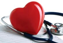 ਦਿਲ ਦਾ ਕੈਂਸਰ ਕਿਉਂ ਨਹੀਂ ਹੁੰਦਾ? ਖੋਜ ਵਿੱਚ ਸਾਹਮਣੇ ਆਈ ਦਿਲ ਦੀ ਖਾਸ ਵਿਸ਼ੇਸ਼ਤਾ