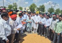 ਮਲੋਟ ਵਿਖੇ ਕਣਕ ਦੀ ਸਰਕਾਰੀ ਖਰੀਦ ਦੀ ਕਰਵਾਈ ਸ਼ੁਰੂਆਤ