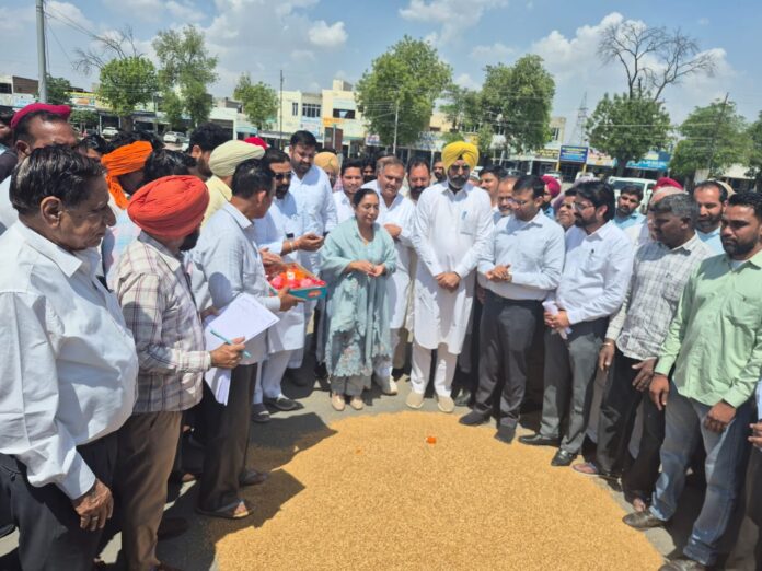 WhatsApp Image 2026-04-09 at 1.47.38 PM