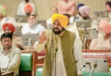 ਅਕਾਲੀ-ਭਾਜਪਾ ਅਤੇ ਕਾਂਗਰਸ ਨੇ ਗੁਰੂ ਸਾਹਿਬ ਦੇ ਨਾਮ `ਤੇ ਵੋਟਾਂ ਮੰਗੀਆਂ ਪਰ ‘ਆਪ` ਸਰਕਾਰ ਨੇ ਪਾਲਕੀ ਸਾਹਿਬ ਲੈ ਜਾਣ ਵਾਲੇ ਵਾਹਨਾਂ `ਤੇ ਟੈਕਸ ਮੁਆਫ਼ ਕੀਤਾ: ਮੁੱਖ ਮੰਤਰੀ ਭਗਵੰਤ ਸਿੰਘ ਮਾਨ