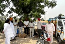 ਮਿੱਟੀ ਦੀ ਸਿਹਤ ਬਚਾਉਣ ਲਈ ਸੰਤੁਲਿਤ ਖਾਦ ਪ੍ਰਬੰਧਨ ਜ਼ਰੂਰੀ