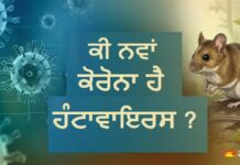 ਕੀ ਫਿਰ ਲੱਗੇਗਾ ਲੌਕਡਾਊਨ? ਕਰੂਜ਼ ਸ਼ਿਪ ‘ਤੇ ਫੈਲੇ ਹੰਟਾਵਾਇਰਸ ਬਾਰੇ WHO ਨੇ ਦਿੱਤੀ ਵੱਡੀ ਜਾਣਕਾਰੀ
