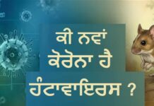 ਕੀ ਫਿਰ ਲੱਗੇਗਾ ਲੌਕਡਾਊਨ? ਕਰੂਜ਼ ਸ਼ਿਪ ‘ਤੇ ਫੈਲੇ ਹੰਟਾਵਾਇਰਸ ਬਾਰੇ WHO ਨੇ ਦਿੱਤੀ ਵੱਡੀ ਜਾਣਕਾਰੀ