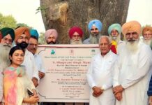 ਕੈਬਨਿਟ ਮੰਤਰੀ ਬਰਿੰਦਰ ਕੁਮਾਰ ਗੋਇਲ ਵੱਲੋਂ ਫ਼ਰੀਦਕੋਟ ਹਲਕੇ ਵਿੱਚ ਬਹੁ-ਕਰੋੜੀ ਪੁਲਾਂ ਅਤੇ ਪੱਕੇ ਖਾਲਿਆਂ ਦਾ ਉਦਘਾਟਨ