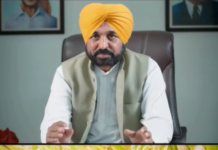 ਰਵਾਇਤੀ ਝੋਨੇ ਤੋਂ ਅੱਗੇ ਵਧ ਰਿਹਾ ਪੰਜਾਬ: ਘੱਟ ਪਾਣੀ ਵਾਲੀਆਂ ਫ਼ਸਲਾਂ ਨੂੰ ਮਿਲੇਗਾ ਵੱਡਾ ਉਤਸ਼ਾਹ