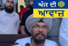 CM ਭਗਵੰਤ ਮਾਨ ਦੀ ਘੱਟ ਜਾਇਦਾਦ ‘ਤੇ ਕੀ ਬੋਲੇ MLA ਧਾਲੀਵਾਲ? ਦਿੱਤਾ ਇਹ ਵੱਡਾ ਬਿਆਨ