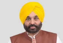 ਸਰਕਾਰੀ ਸਕੂਲਾਂ ਦੀ ਬਦਲੀ ਤਸਵੀਰ, 882 ਵਿਦਿਆਰਥੀਆਂ ਨੇ NEET ਪਾਸ ਕਰਕੇ ਰਚਿਆ ਨਵਾਂ ਇਤਿਹਾਸ