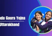 ਧੀਆਂ ਲਈ ਸਰਕਾਰ ਦੀ 5,000 ਰੁਪਏ ਵਾਲੀ FD ਸਕੀਮ