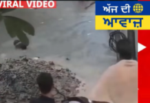 ਮੁਸੀਬਤ ਵੇਲੇ ਸਾਥ ਹੀ ਬਣਦਾ ਹੈ ਸਭ ਤੋਂ ਵੱਡਾ ਸਹਾਰਾ