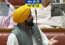 E20 ਮੁੱਦੇ ’ਤੇ CM ਭਗਵੰਤ ਮਾਨ ਦਾ ਤੰਜ, ਕਿਹਾ- “ਗਡਕਰੀ ਦਾ ਮੁੰਡਾ E20, ਗ੍ਰਹਿ ਮੰਤਰੀ ਦਾ ਮੁੰਡਾ T20”