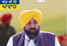 ਵੰਡ ਦਾ ਦਰਦ, ਆਜ਼ਾਦੀ ਦੀ ਲੜਾਈ ਵਿੱਚ ਪੰਜਾਬੀਆਂ ਦੀ ਅਦੁੱਤੀ ਕੁਰਬਾਨੀ