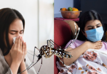Dengue vs Swine Flu: ਤੇਜ਼ ਬੁਖਾਰ ਡੇਂਗੂ ਹੈ ਜਾਂ ਸਵਾਈਨ ਫਲੂ? ਲੱਛਣਾਂ ਵਿੱਚ ਇੰਝ ਪਛਾਣੋ ਫਰਕ