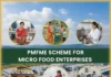 PMFME Scheme: ਬਿਜ਼ਨੈਸ ਲਈ 10 ਲੱਖ ਤੱਕ ਸਬਸਿਡੀ, ਇੰਝ ਕਰੋ ਅਪਲਾਈ