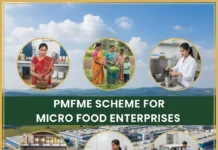 PMFME Scheme: ਬਿਜ਼ਨੈਸ ਲਈ 10 ਲੱਖ ਤੱਕ ਸਬਸਿਡੀ, ਇੰਝ ਕਰੋ ਅਪਲਾਈ