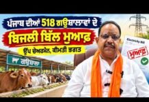 518 ਗਊਸ਼ਾਲਾਵਾਂ ਦੇ 100 ਕਰੋੜ ਤੋਂ ਵੱਧ ਬਿਜਲੀ ਬਿੱਲ ਮੁਆਫ਼