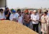 ਕਿਸਾਨਾਂ ਦੀ ਫ਼ਸਲ ਦਾ ਦਾਣਾ-ਦਾਣਾ ਖਰੀਦੇਗੀ ਪੰਜਾਬ ਸਰਕਾਰ