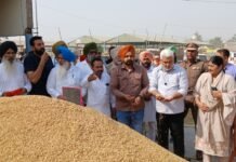 ਕਿਸਾਨਾਂ ਦੀ ਫ਼ਸਲ ਦਾ ਦਾਣਾ-ਦਾਣਾ ਖਰੀਦੇਗੀ ਪੰਜਾਬ ਸਰਕਾਰ
