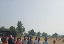 ਕਿਸਾਨ ਵੱਲੋਂ ਸਬਸਿਡੀ ’ਤੇ ਬੇਲਰ ਲੈ ਕੇ ਪਰਾਲੀ ਪ੍ਰਬੰਧਨ